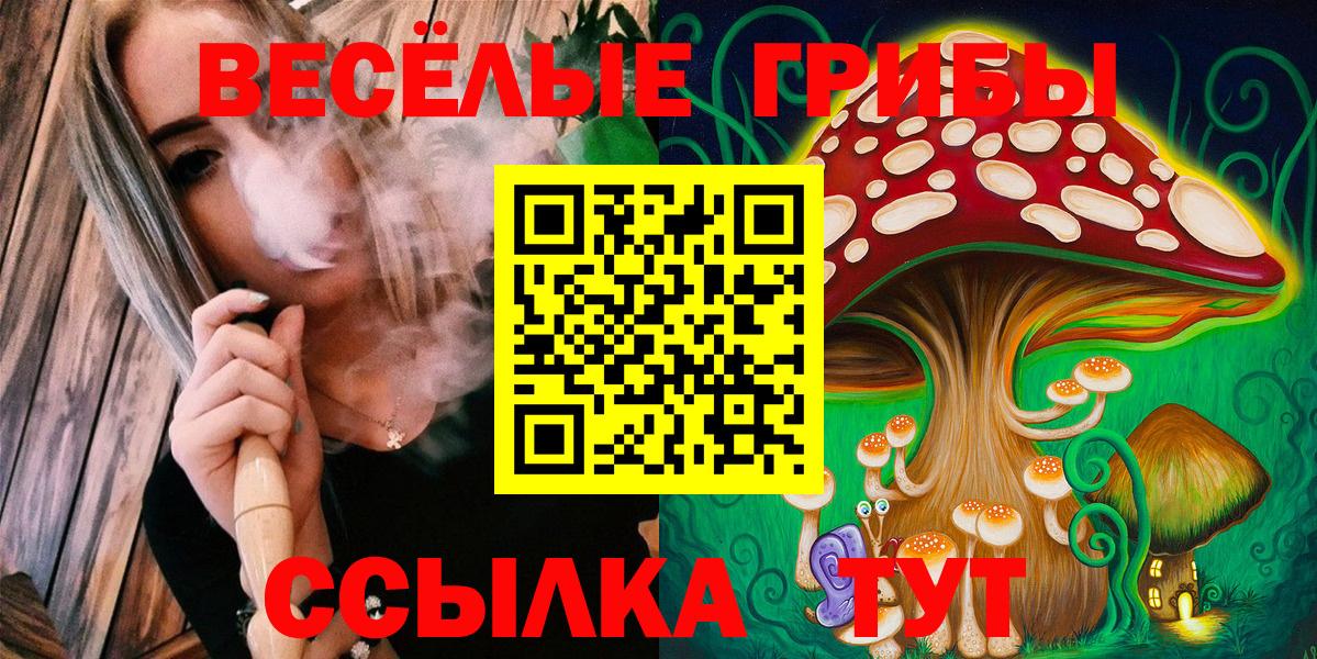 Галлюциногенные грибы GOLDEN TEACHER Губаха