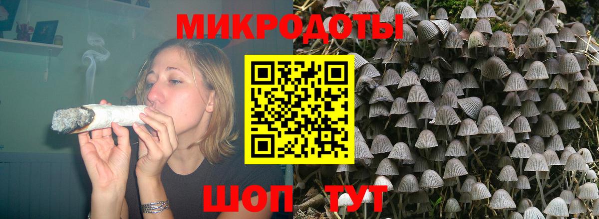 Губаха  Псилоцибиновые грибы Psilocybine cubensis  где купить наркоту  Вход с VPN 